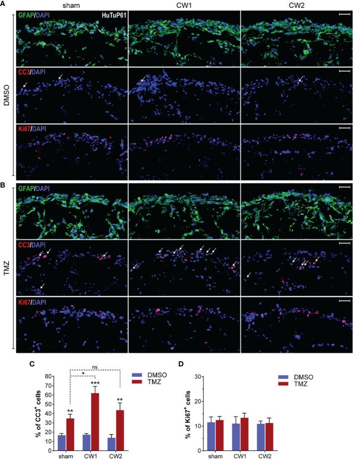 https://cdn.ncbi.nlm.nih.gov/pmc/blobs/1fac/11176452/56790ecfa470/fonc-14-1307516-g009.jpg