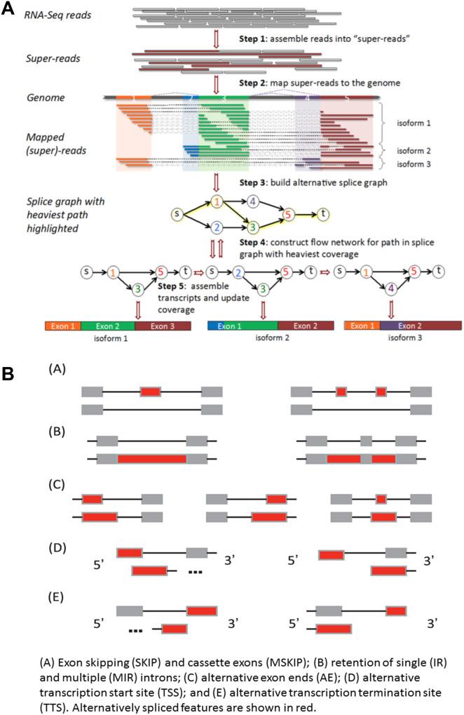 https://cdn.ncbi.nlm.nih.gov/pmc/blobs/1fac/11562592/98f852ddf161/12951_2024_2994_Fig8_HTML.jpg