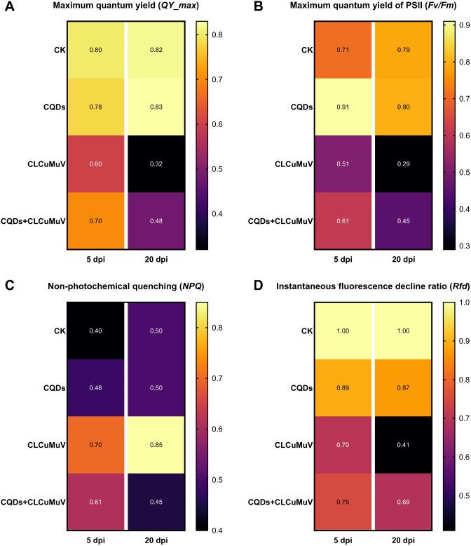 https://cdn.ncbi.nlm.nih.gov/pmc/blobs/1fac/11562592/a304a171b752/12951_2024_2994_Fig4_HTML.jpg