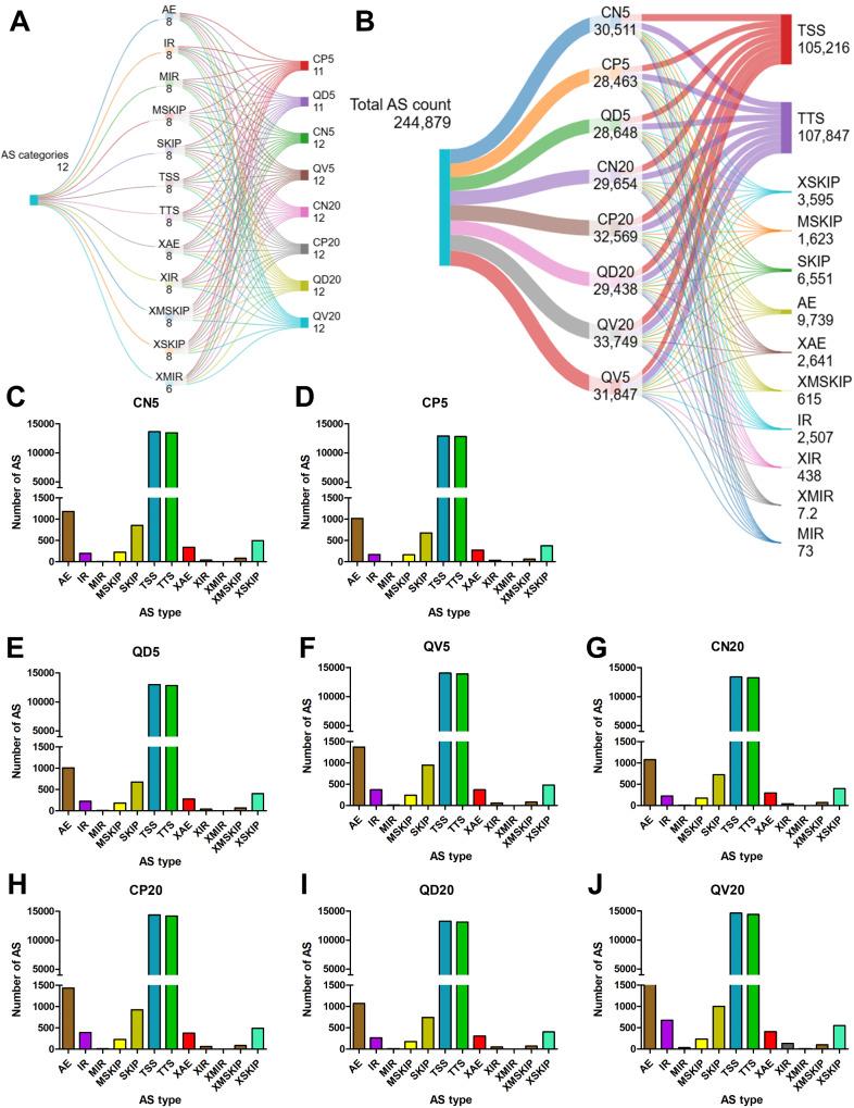 https://cdn.ncbi.nlm.nih.gov/pmc/blobs/1fac/11562592/aa2368e170fe/12951_2024_2994_Fig9_HTML.jpg
