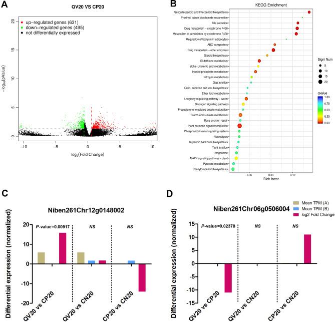 https://cdn.ncbi.nlm.nih.gov/pmc/blobs/1fac/11562592/e01fec8f34ef/12951_2024_2994_Fig7_HTML.jpg