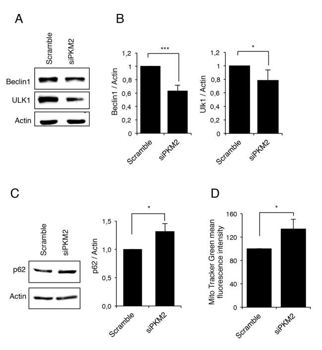 https://cdn.ncbi.nlm.nih.gov/pmc/blobs/1fae/4792602/8cb54d9ff20f/oncotarget-06-44941-g004.jpg