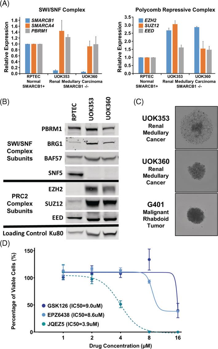 https://cdn.ncbi.nlm.nih.gov/pmc/blobs/1fb0/7383978/dd7d7d554f44/GCC-59-472-g003.jpg