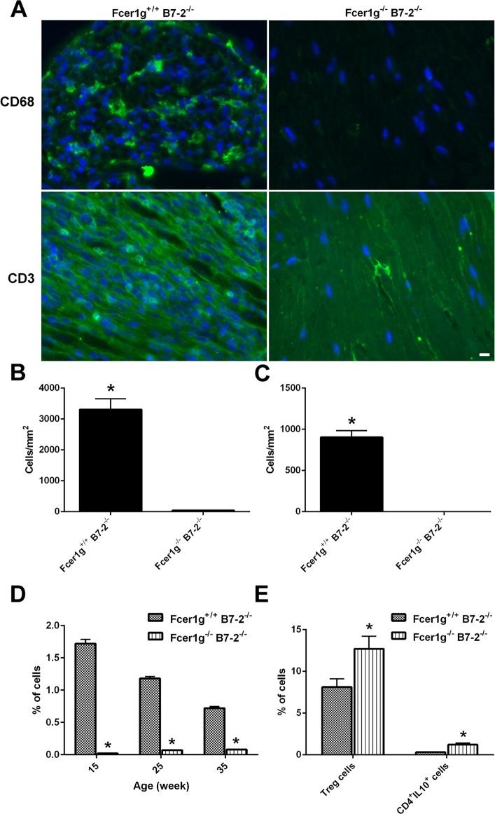 https://cdn.ncbi.nlm.nih.gov/pmc/blobs/1fb1/6695161/158e2c39ba02/pone.0220250.g003.jpg