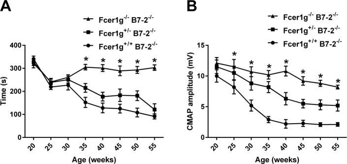 https://cdn.ncbi.nlm.nih.gov/pmc/blobs/1fb1/6695161/85127e935ac2/pone.0220250.g002.jpg