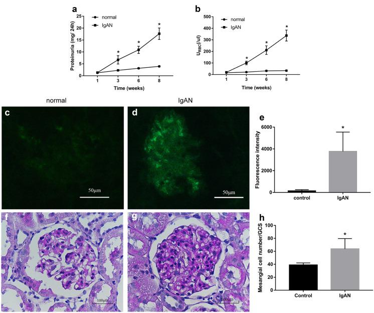 https://cdn.ncbi.nlm.nih.gov/pmc/blobs/1fb5/9646551/7f150b0bb8f3/10753_2022_1711_Fig1_HTML.jpg