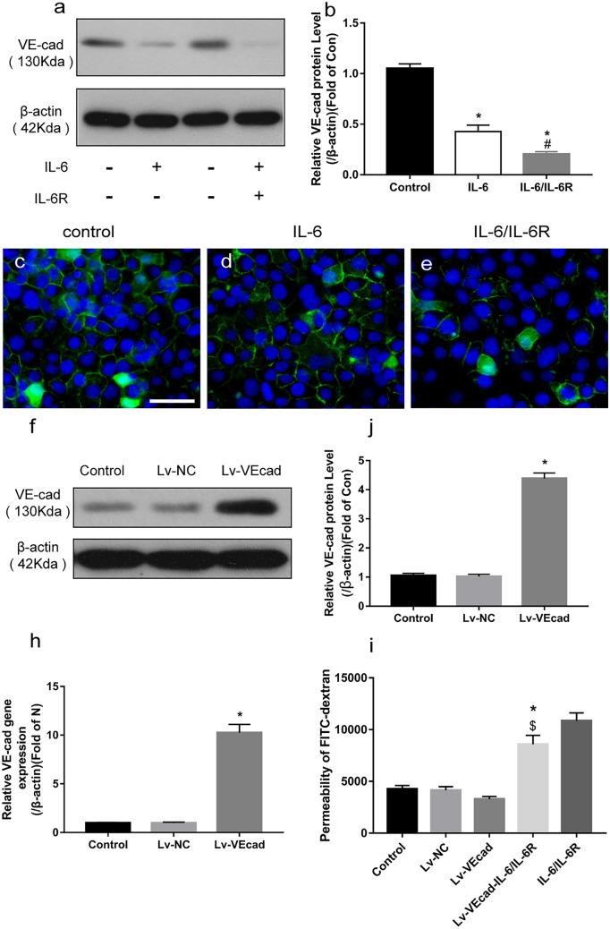 https://cdn.ncbi.nlm.nih.gov/pmc/blobs/1fb5/9646551/9d026a4060c1/10753_2022_1711_Fig5_HTML.jpg