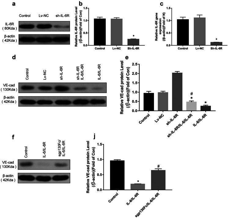 https://cdn.ncbi.nlm.nih.gov/pmc/blobs/1fb5/9646551/e615126ec2aa/10753_2022_1711_Fig6_HTML.jpg