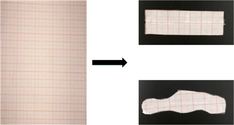 https://cdn.ncbi.nlm.nih.gov/pmc/blobs/1fb7/6921535/e9750a913d95/12859_2019_3308_Fig19_HTML.jpg