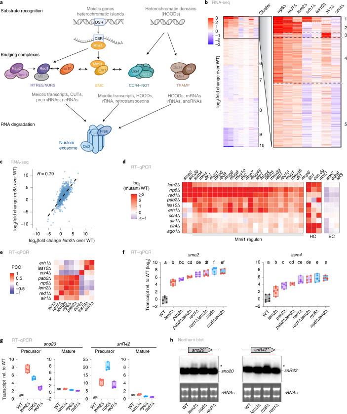 https://cdn.ncbi.nlm.nih.gov/pmc/blobs/1fb7/9507967/822d0c64b388/41594_2022_831_Fig2_HTML.jpg