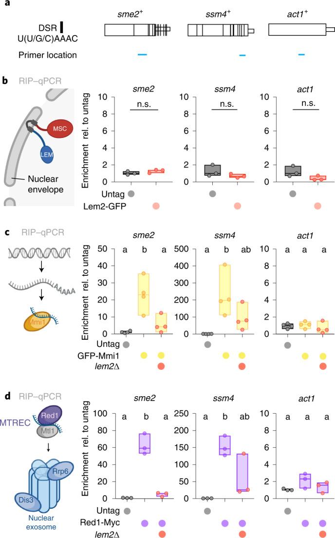 https://cdn.ncbi.nlm.nih.gov/pmc/blobs/1fb7/9507967/c5c101091d28/41594_2022_831_Fig5_HTML.jpg