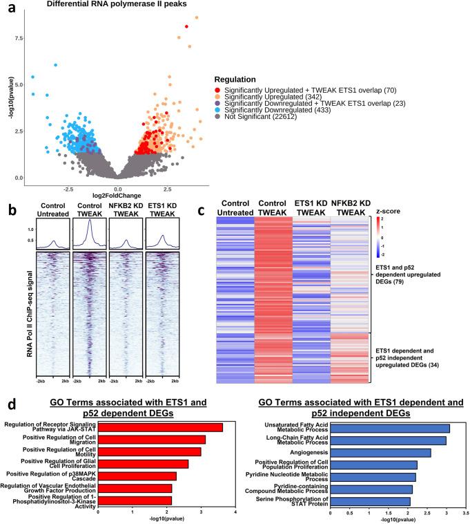 https://cdn.ncbi.nlm.nih.gov/pmc/blobs/1fba/10122670/d3ef69cb65b5/42003_2023_4821_Fig2_HTML.jpg