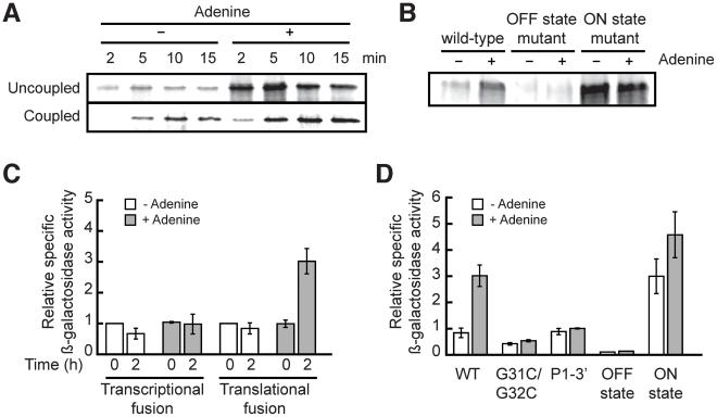 https://cdn.ncbi.nlm.nih.gov/pmc/blobs/1fba/3024265/aedd7196a886/pgen.1001278.g003.jpg