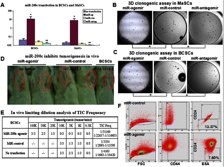 https://cdn.ncbi.nlm.nih.gov/pmc/blobs/1fbb/4581477/1a5d46390584/12885_2015_1655_Fig3_HTML.jpg