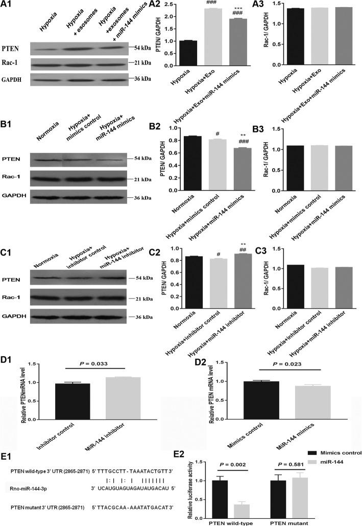 https://cdn.ncbi.nlm.nih.gov/pmc/blobs/1fbb/6979357/be9f22350094/13287_2020_1563_Fig8_HTML.jpg