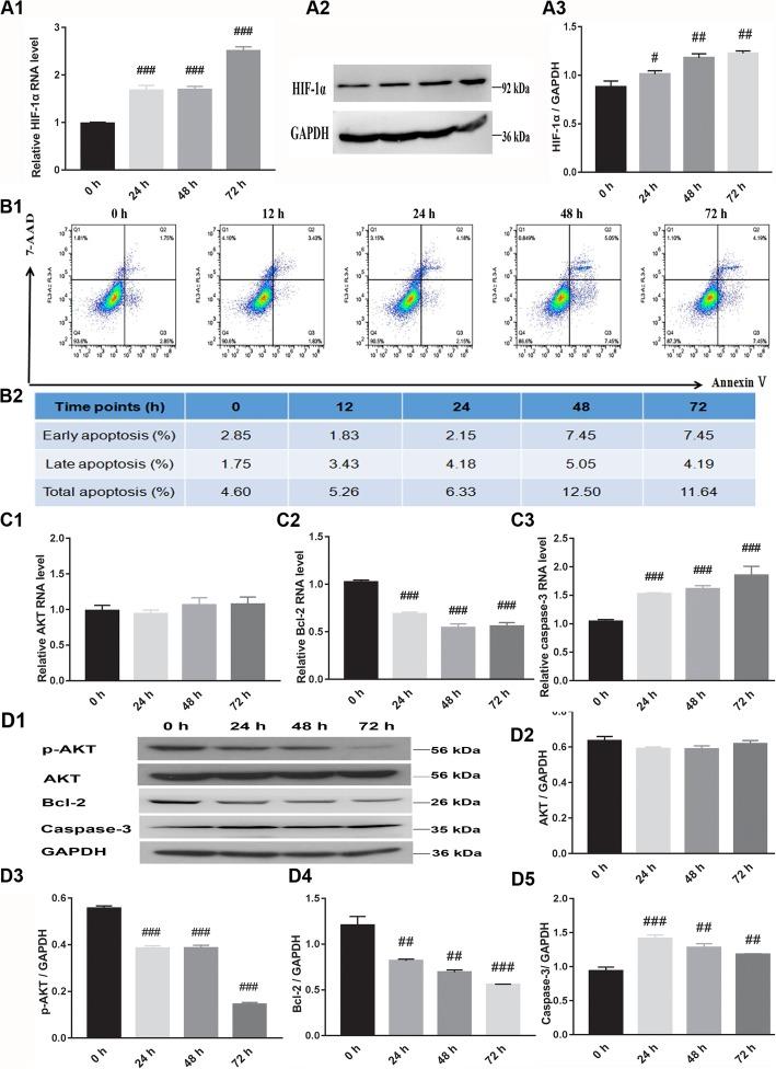 https://cdn.ncbi.nlm.nih.gov/pmc/blobs/1fbb/6979357/ffd4da2280e2/13287_2020_1563_Fig2_HTML.jpg