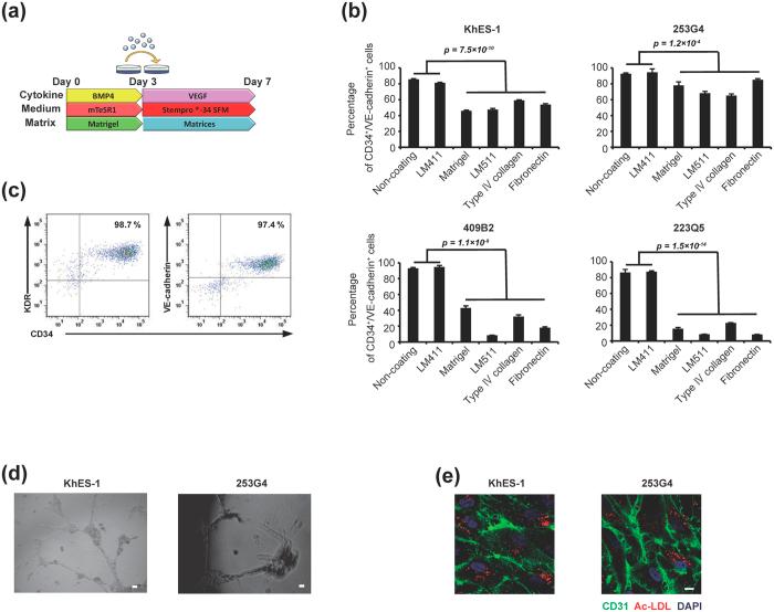 https://cdn.ncbi.nlm.nih.gov/pmc/blobs/1fbd/5090224/ea468f788b93/srep35680-f1.jpg