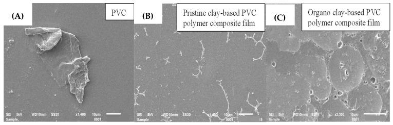 https://cdn.ncbi.nlm.nih.gov/pmc/blobs/1fbf/10145312/6a6efcef2603/polymers-15-01922-g010.jpg