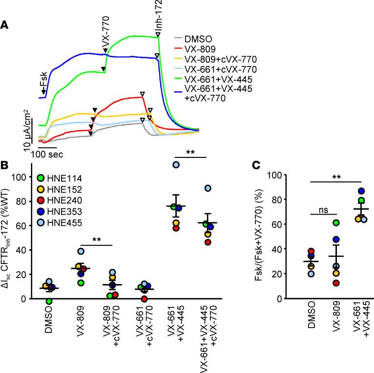https://cdn.ncbi.nlm.nih.gov/pmc/blobs/1fc1/7526550/807f150dfce6/jciinsight-5-139983-g202.jpg