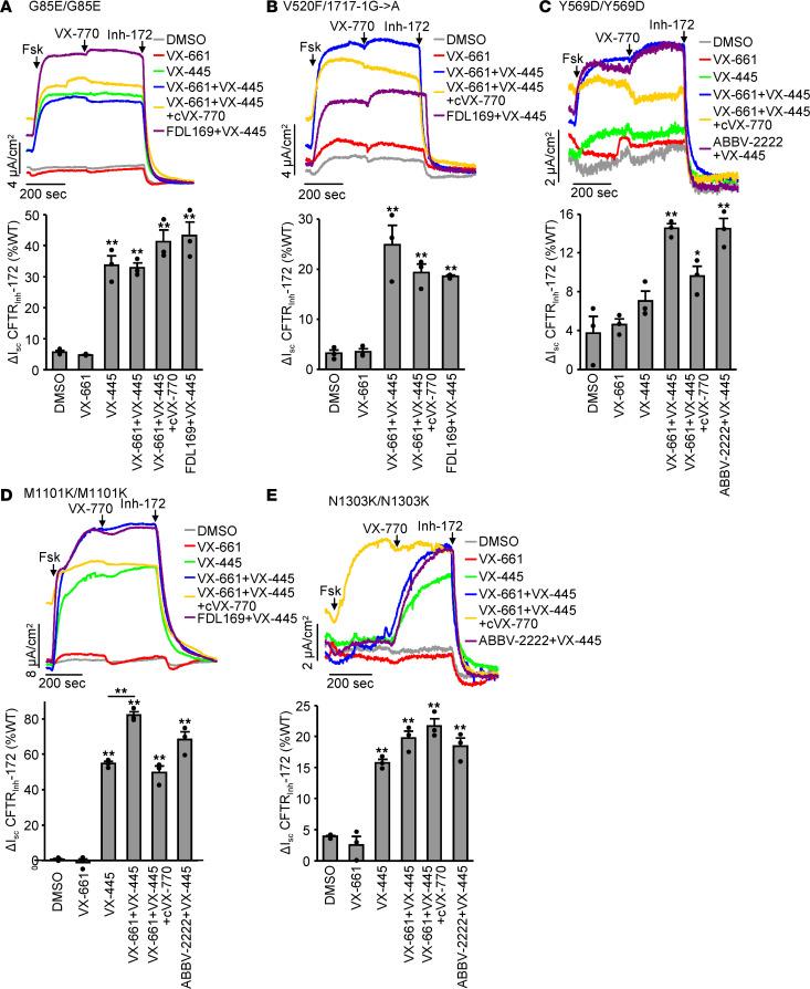 https://cdn.ncbi.nlm.nih.gov/pmc/blobs/1fc1/7526550/c3ea76ae2de2/jciinsight-5-139983-g204.jpg