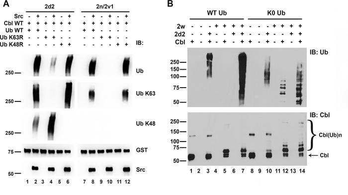 https://cdn.ncbi.nlm.nih.gov/pmc/blobs/1fc2/6533038/e865da1b3e81/pone.0216967.g005.jpg