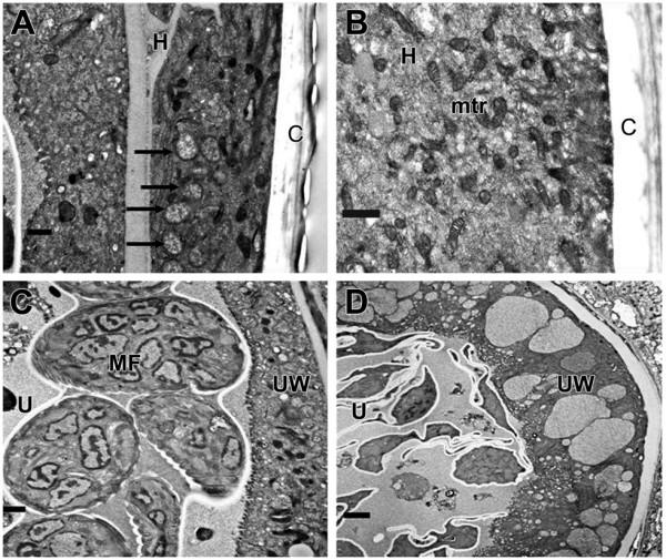 https://cdn.ncbi.nlm.nih.gov/pmc/blobs/1fc3/3352068/e4b496741394/1423-0127-19-21-1.jpg