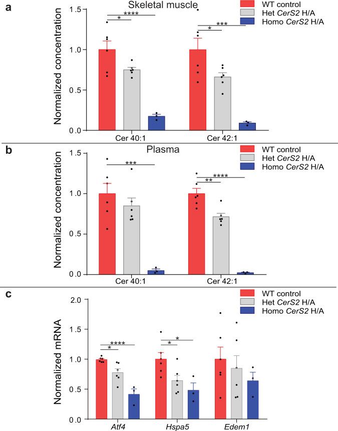 https://cdn.ncbi.nlm.nih.gov/pmc/blobs/1fc3/8975934/24a8aacd4c47/41467_2022_29363_Fig6_HTML.jpg