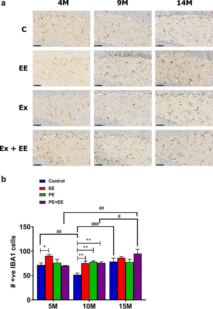 https://cdn.ncbi.nlm.nih.gov/pmc/blobs/1fc5/11448622/031d0ed928e1/10571_2020_862_Fig2_HTML.jpg