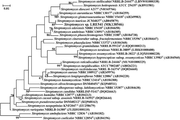 https://cdn.ncbi.nlm.nih.gov/pmc/blobs/1fc6/8643024/fdd4b15dbd3f/12934_2021_1706_Fig2_HTML.jpg