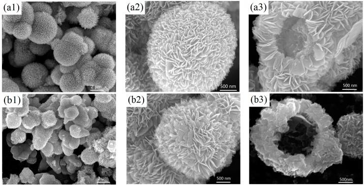 https://cdn.ncbi.nlm.nih.gov/pmc/blobs/1fc7/5344582/2d0745558f49/materials-10-00077-g001a.jpg