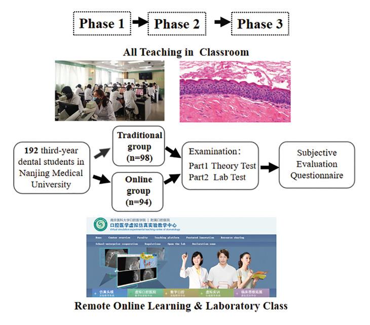 https://cdn.ncbi.nlm.nih.gov/pmc/blobs/1fcb/8254891/3c7597666e16/medoral-26-e533-g001.jpg