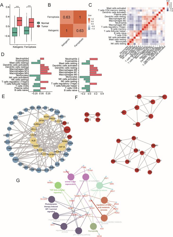 https://cdn.ncbi.nlm.nih.gov/pmc/blobs/1fcf/11968908/43ebb1283f94/41420_2025_2421_Fig3_HTML.jpg