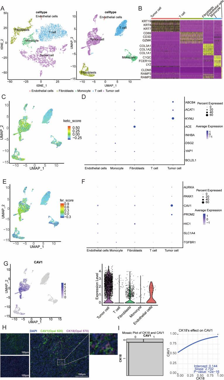 https://cdn.ncbi.nlm.nih.gov/pmc/blobs/1fcf/11968908/800ee8840ad8/41420_2025_2421_Fig4_HTML.jpg
