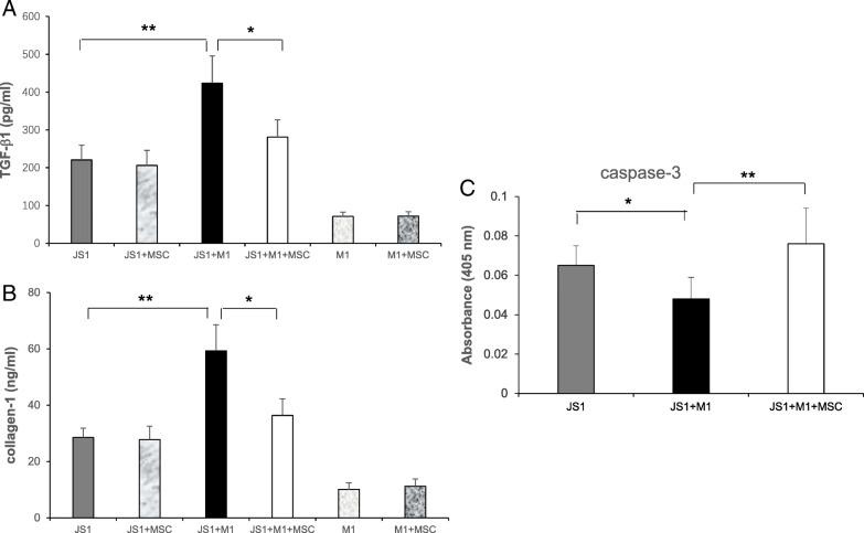 https://cdn.ncbi.nlm.nih.gov/pmc/blobs/1fcf/6329168/d338a1289f82/13287_2018_1122_Fig6_HTML.jpg