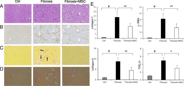 https://cdn.ncbi.nlm.nih.gov/pmc/blobs/1fcf/6329168/f07316d59574/13287_2018_1122_Fig3_HTML.jpg
