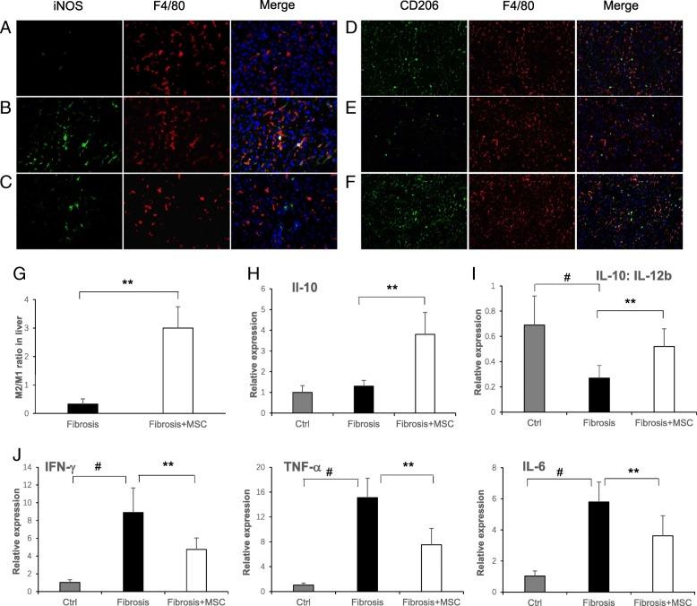 https://cdn.ncbi.nlm.nih.gov/pmc/blobs/1fcf/6329168/f7514868abff/13287_2018_1122_Fig4_HTML.jpg