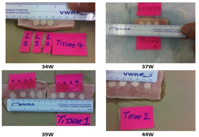 https://cdn.ncbi.nlm.nih.gov/pmc/blobs/1fd0/12350952/c585e81613b1/41598_2025_99783_Fig2_HTML.jpg