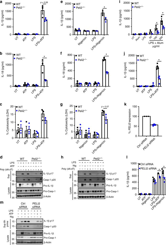 https://cdn.ncbi.nlm.nih.gov/pmc/blobs/1fd0/5908787/0813736635c8/41467_2018_3669_Fig2_HTML.jpg