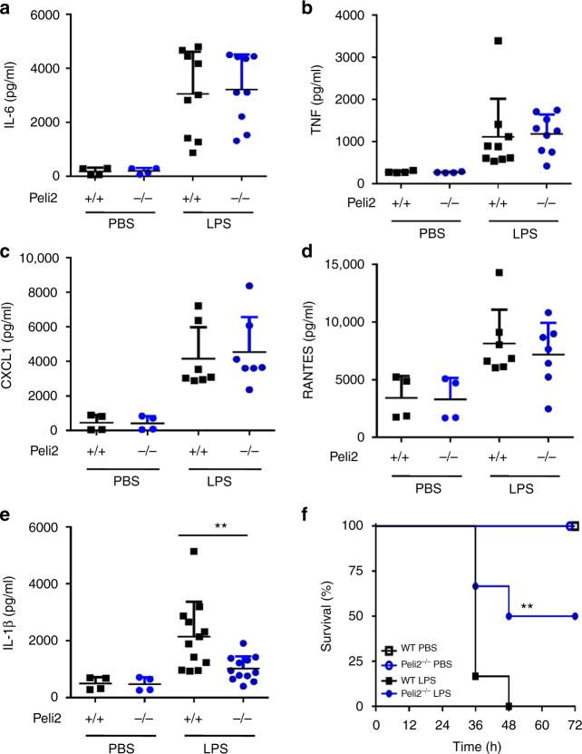 https://cdn.ncbi.nlm.nih.gov/pmc/blobs/1fd0/5908787/50a628696c6a/41467_2018_3669_Fig3_HTML.jpg