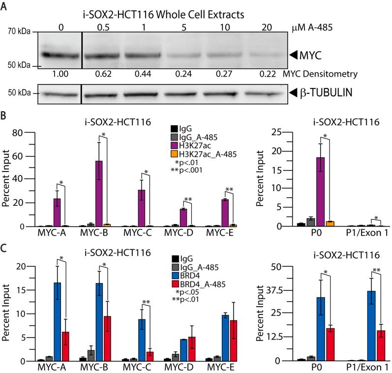 https://cdn.ncbi.nlm.nih.gov/pmc/blobs/1fd3/11408076/0fea02653a12/figs6.jpg