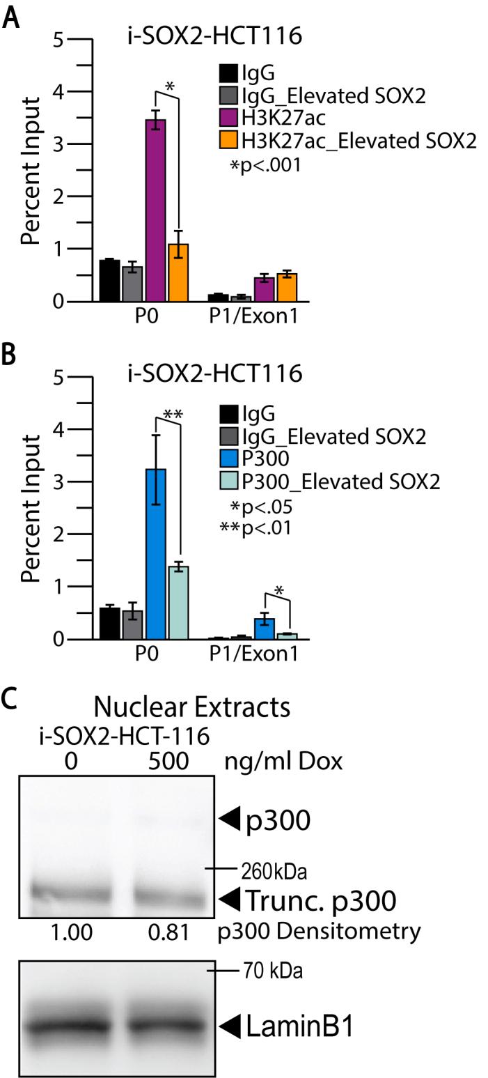 https://cdn.ncbi.nlm.nih.gov/pmc/blobs/1fd3/11408076/3df0c7d8f87e/figs4.jpg
