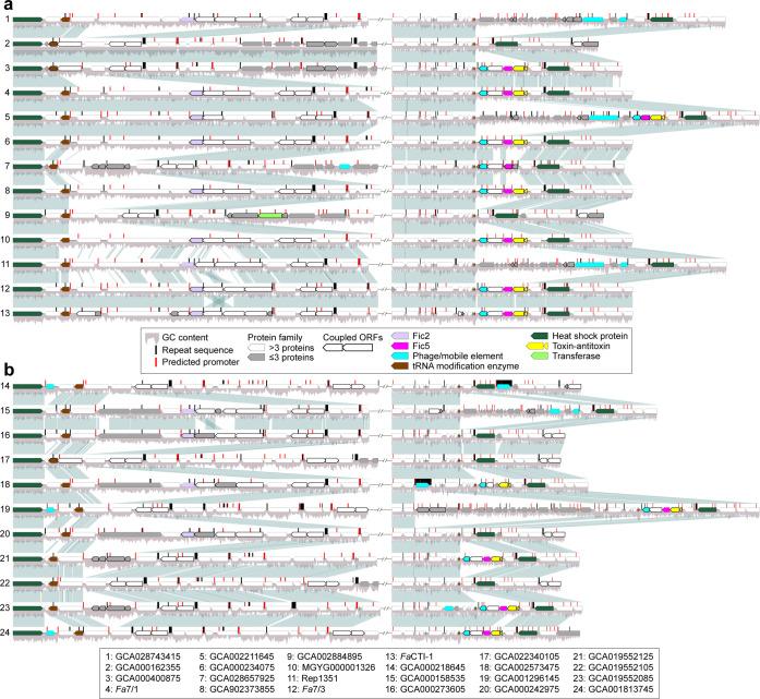 https://cdn.ncbi.nlm.nih.gov/pmc/blobs/1fd3/11796403/4c5d0a0cce96/mbio.03732-24.f004.jpg