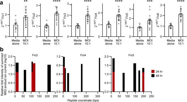 https://cdn.ncbi.nlm.nih.gov/pmc/blobs/1fd3/11796403/99b17f1a3fa9/mbio.03732-24.f005.jpg