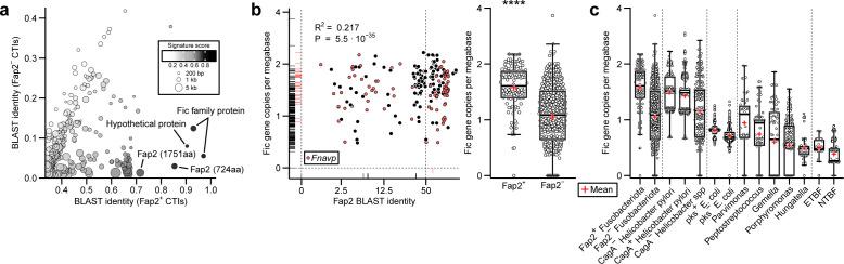 https://cdn.ncbi.nlm.nih.gov/pmc/blobs/1fd3/11796403/99d9883d7b70/mbio.03732-24.f001.jpg