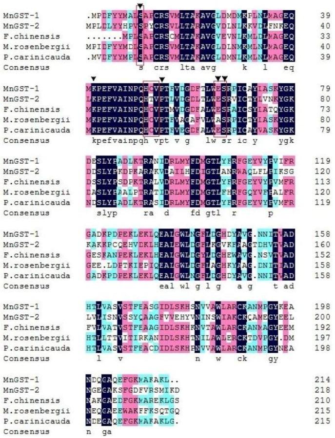 https://cdn.ncbi.nlm.nih.gov/pmc/blobs/1fd3/6213060/918387dc1ac9/ijms-19-03102-g0A3.jpg