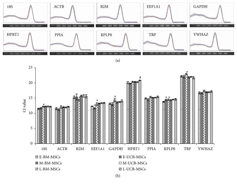 https://cdn.ncbi.nlm.nih.gov/pmc/blobs/1fd3/6556274/993c98c2478f/BMRI2019-3093545.002.jpg