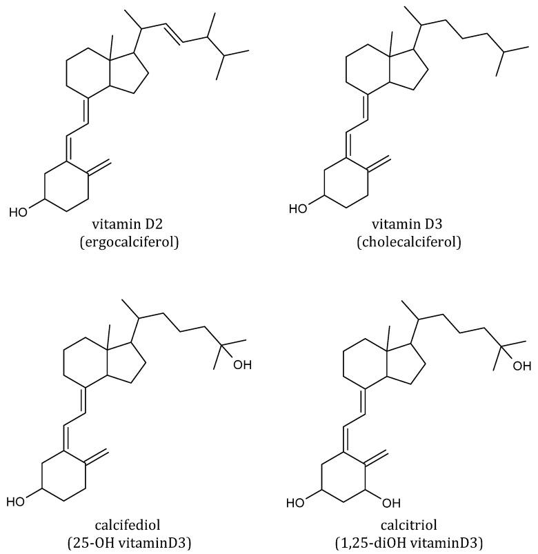 https://cdn.ncbi.nlm.nih.gov/pmc/blobs/1fd3/9498392/c00a93d936d7/foods-11-02884-g005.jpg