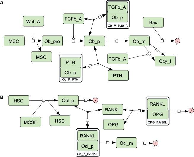 https://cdn.ncbi.nlm.nih.gov/pmc/blobs/1fd4/4904033/35ec07d2d226/fendo-07-00061-g003.jpg
