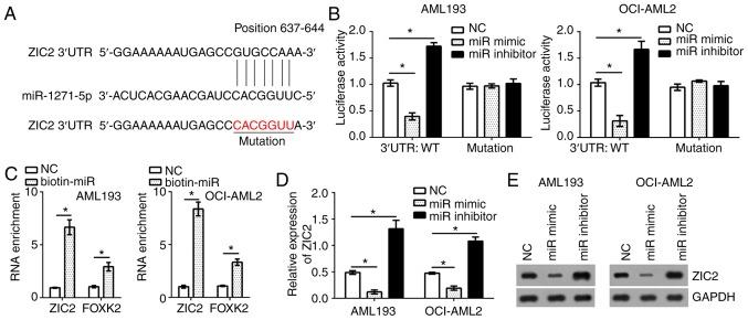 https://cdn.ncbi.nlm.nih.gov/pmc/blobs/1fd4/6297795/131b5f659ca0/MMR-19-01-0508-g02.jpg