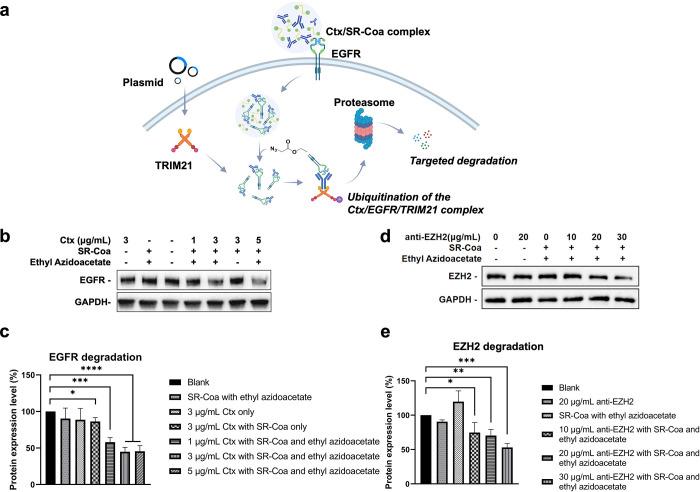 https://cdn.ncbi.nlm.nih.gov/pmc/blobs/1fd8/11783599/95b0525a17e7/ja4c17054_0006.jpg